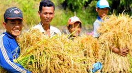 Poverty reduction in urban areas needs due attention