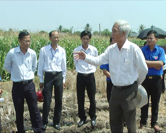 đồng chí Phó bí thư thường trực Tỉnh ủy đã đến thăm mô hình trồng bắp trên cánh đồng mẫu lớn do các bạn đoàn viên thanh niên xã Xuân Thọ