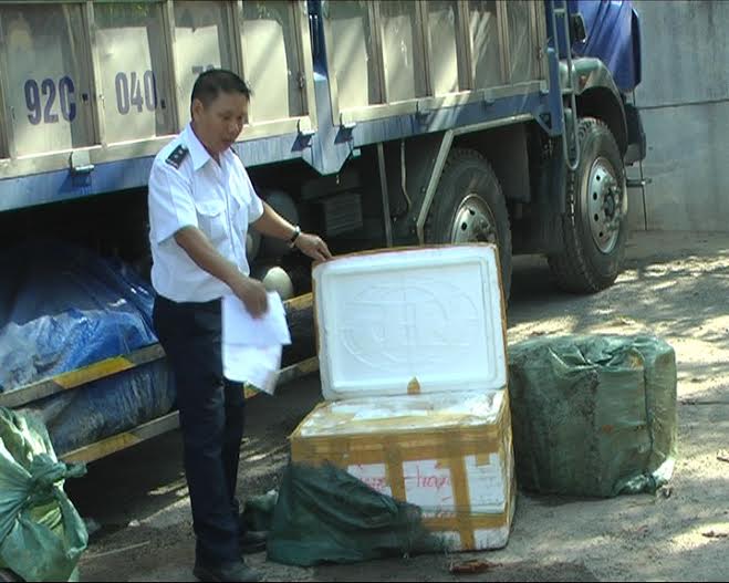 350 kg of undocumented suckling pigs seized