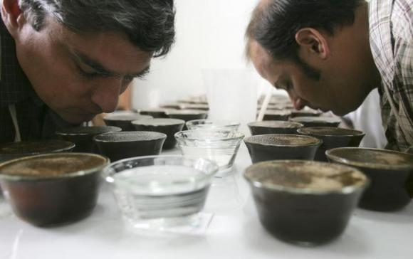 Sweet smell of success: human nose discerns giant array of odors
