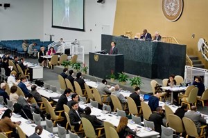 Một cuộc họp tại Đại hội đồng Liên hợp quốc. (Nguồn: THX/TTXVN)