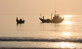 Fishing boats come back after a long night ﬁshing offshore