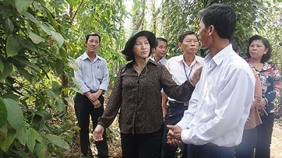 NA Vice Chairwoman Nguyen Thi Kim Ngan in Xuan Loc district