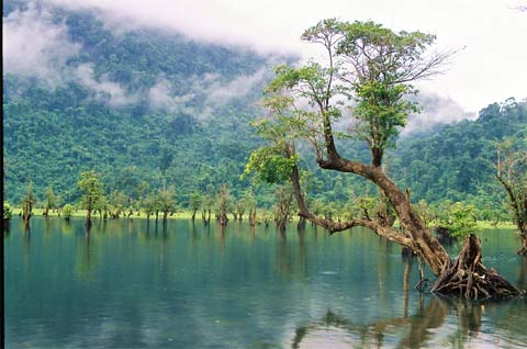 Noong Lake is far from Ha Giang Town about 15km. It is a lake on a mountain with unspoiled nature and the pure beauty like the young girl of an ethnic group. Only a few families of Mong ethnic group live in the area by planting rice and raising ducks and pigs  