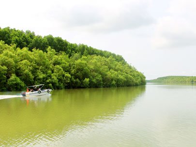 A boat takes travelers around the Vam Sat Tourist Site 