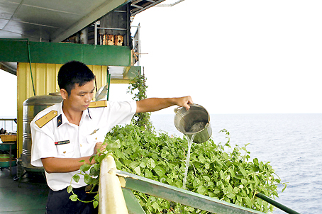 Trồng rau ở nhà giàn DK1.