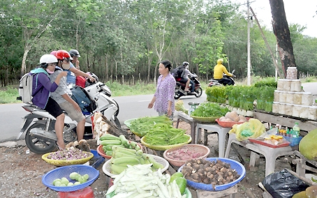 Các điểm bán đặc sản dọc tỉnh lộ 25B (huyện Nhơn Trạch) được nhiều du khách ghé mua.