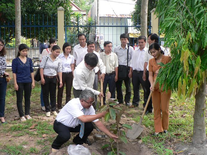 Trường THCS Hùng Vương, huyện Trảng Bom trồng cây đa búp đỏ trong khuôn viên của trường.