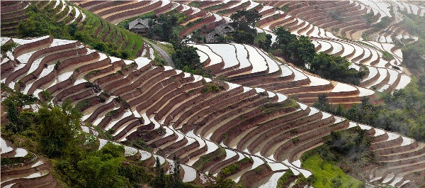 Incredible photos of Vietnam's terraces by Russian photographer