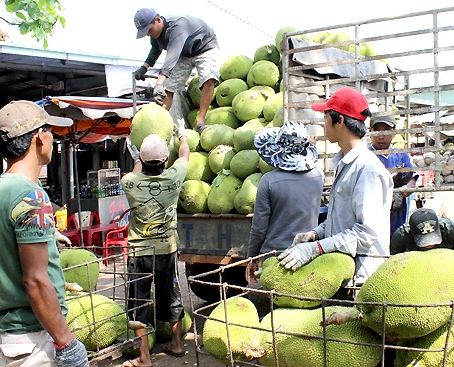 Nông dân là người phải gánh giá cước vận chuyển. (Ảnh chụp tại chợ đầu mối trái cây Long Khánh).