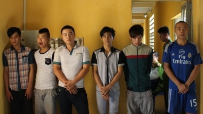 More prosecuted for public order disruption at Dong Nai industrial zones