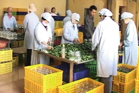 Dong Nai's export turnover up 17%