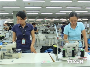 Privately-owned startups on the rise in Dong Nai