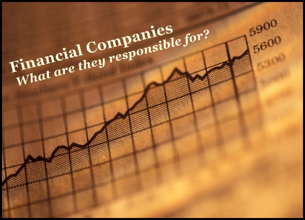 Guidelines for operation of financial companies