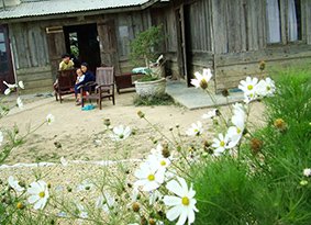 Peace in Trai Mat