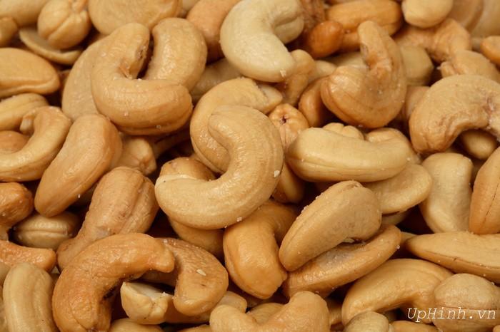 Cashew exports increase in volume and value
