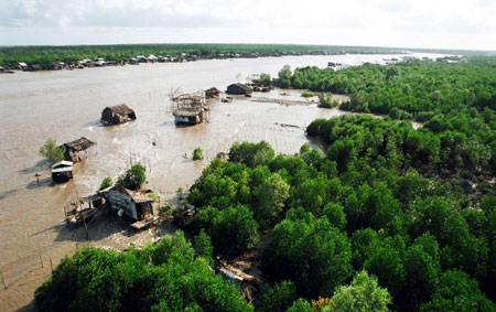Photo shows a corner of Ca Mau National Park in southern Ca Mau province 