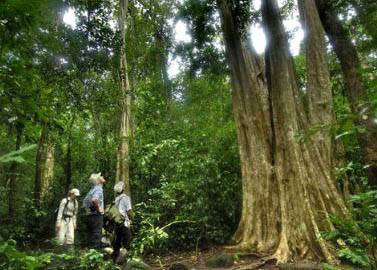 Cat Tien National Park an ecotourism paradise