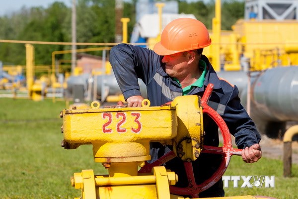 Ảnh minh họa. (Nguồn: AFP/TTXVN)