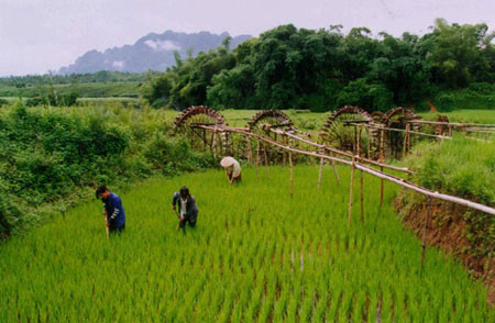 Giang Mo Village offers intimate view of Muong ethnic culture
