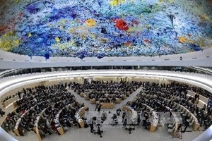 Vietnam affirms consistent human rights policy at UN meeting