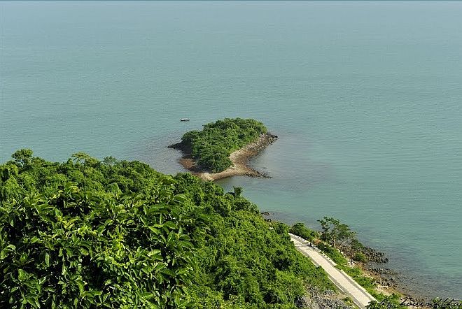 Doc Island – home to wild flowers