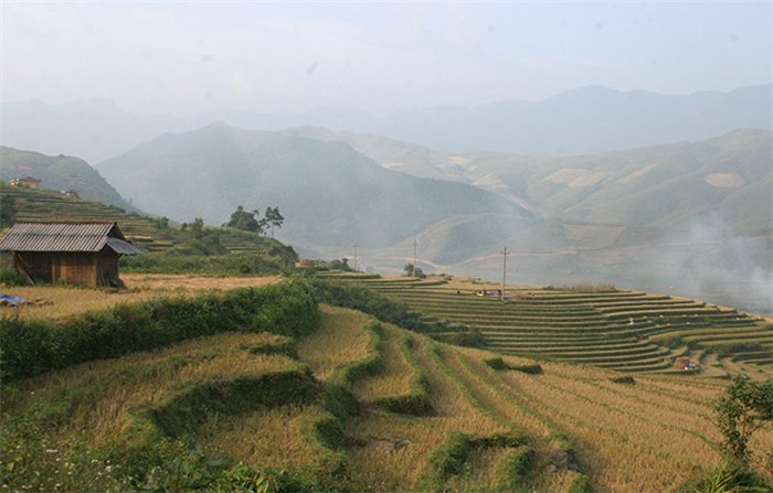 Admiring Hoang Su Phi terraced fields in rainy season