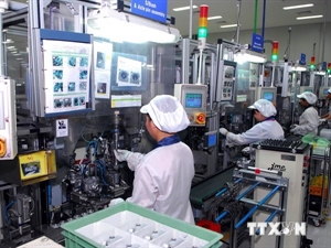 Dong Nai fulfills 96% of FDI attraction goal