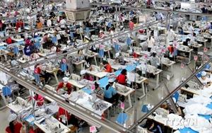 FDI enterprises a driving force for many industries