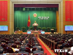 National Assembly passes the Law on amendments and supplements to the Law on Vietnamese Nationality 
