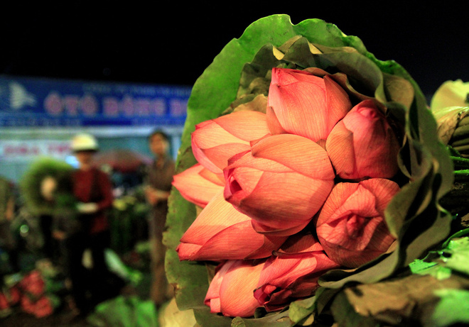 Lotus market at midnight