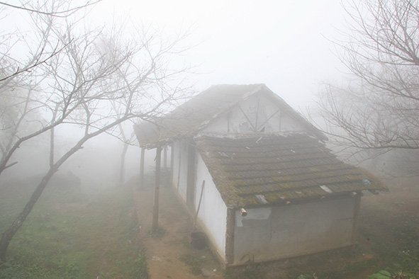 Mist in Ham Rong Mount