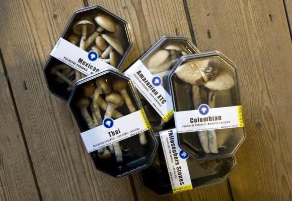 Scientists find how magic mushrooms alter the mind