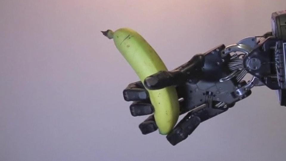 Robotic hand 'sees and feels' for gripping dexterity