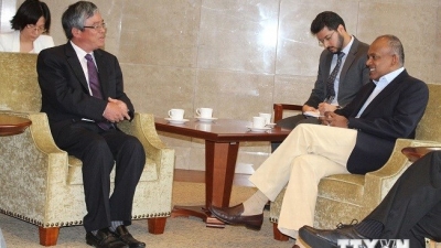 Vietnam, Singapore undertake eighth political consultation