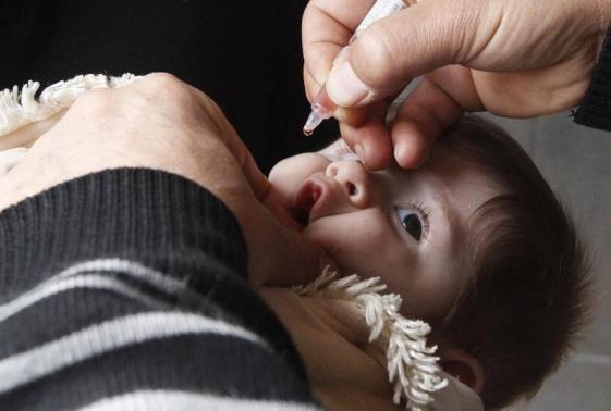 Combining vaccines may help eradicate polio
