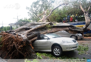 Typhoon Rammasun enters East Sea