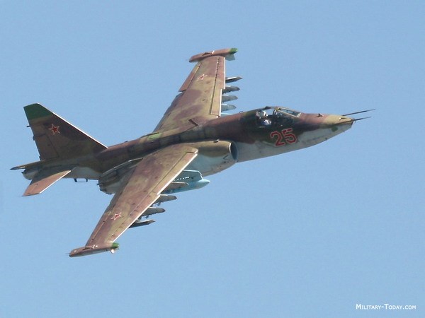 Máy bay tiêm kích Su-25. (Nguồn: shekulli.com.al)