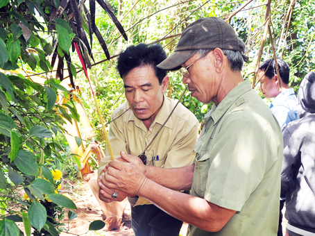 Những bước chân không mỏi