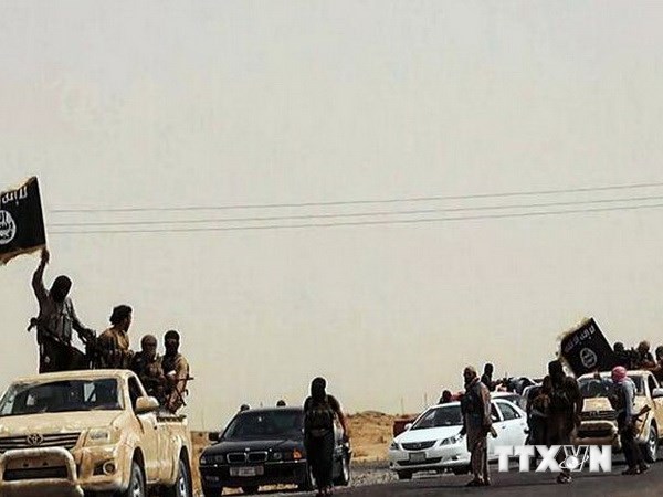Phiến quân thuộc Nhà nước Hồi giáo Iraq và Cận đông (ISIL) tại một vị trí ở tỉnh Salaheddin, Iraq ngày 14/6. (Nguồn: AFP/TTXVN)
