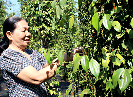 Dong Nai gives priority to new rural development