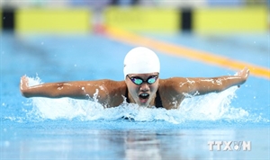 Swimmer Anh Vien wins another medal at Youth Olympics