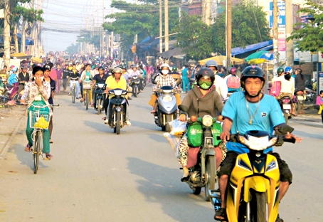 Do chưa có xe buýt nên người dân đi từ xã Thạnh Phú đến thị trấn Vĩnh An trên đường tỉnh 768 chủ yếu bằng xe máy.