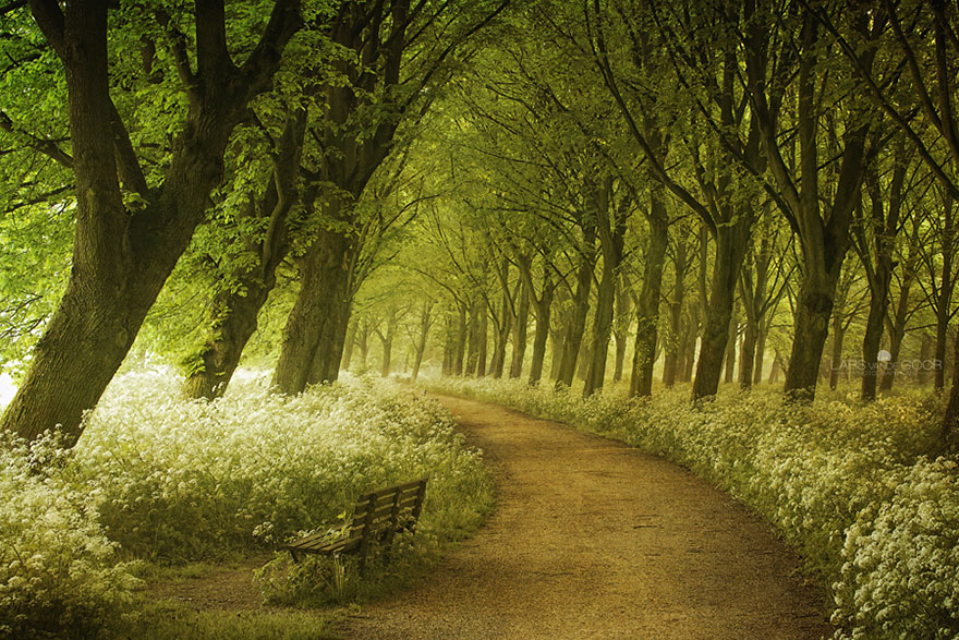 Pleasant Path Most beautiful paths - Báo Đồng Nai điện tử