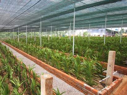 Dong Nai Biotechnology Centre strives to be high-tech area