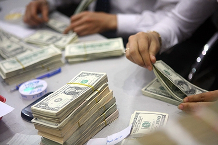 Foreign exchange control of FDI activities