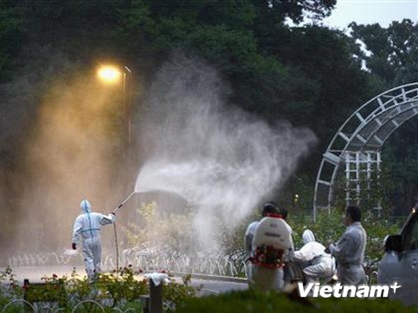 Lực lượng y tế đang tiến hành phun thuốc diệt muỗi trong các bụi rậm ở công viên Yoyogi, Tokyo. (Nguồn: Sankei)