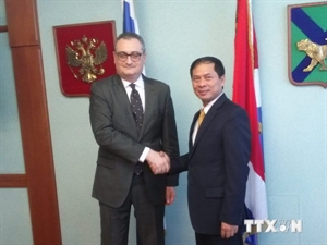 Vietnam, Russia deputy foreign ministers meet for political consultation