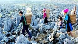 Vietnam aims for 30 national geo-parks by 2030