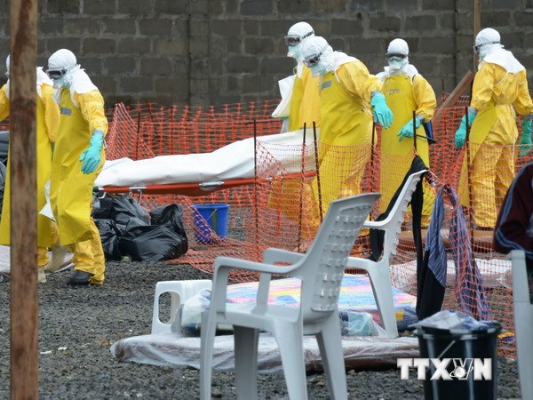 Nhân viên y tế chuyển xác một nạn nhân Ebola tại bệnh viện Elwa ở Monrovia, Liberia. (Nguồn: AFP/TTXVN)